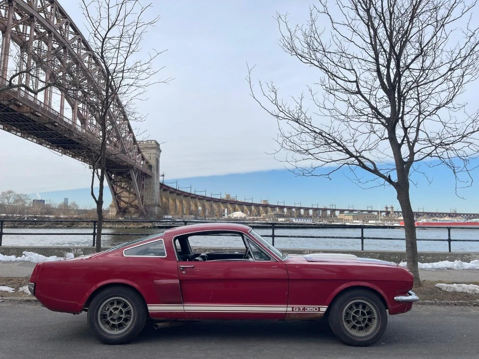 1966 Ford Shelby Mustang - Image 3 of 8