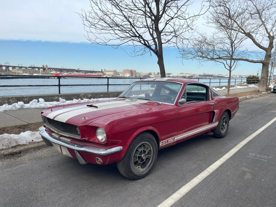 1966 Ford Shelby Mustang - Image 2 of 8