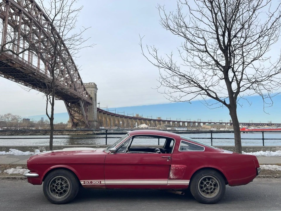 1966 Ford Shelby Mustang - Image 4 of 8
