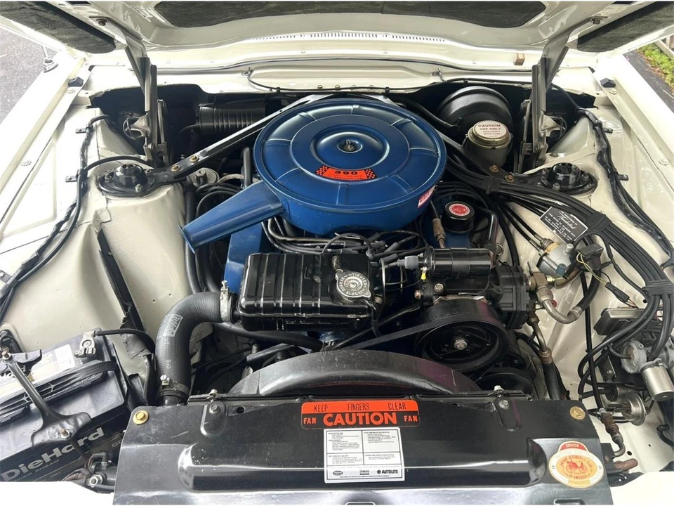 1966 Ford Thunderbird 4th Gen - Image 25 of 31