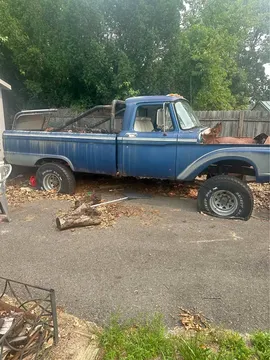 1966 Ford F100