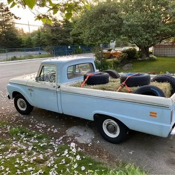 1966 Ford F100
