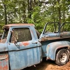 1966 Ford F100