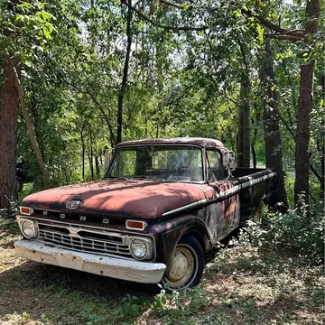 1966 Ford F100