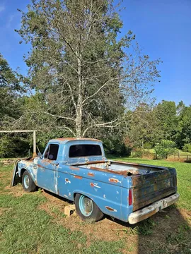 1966 Ford F100