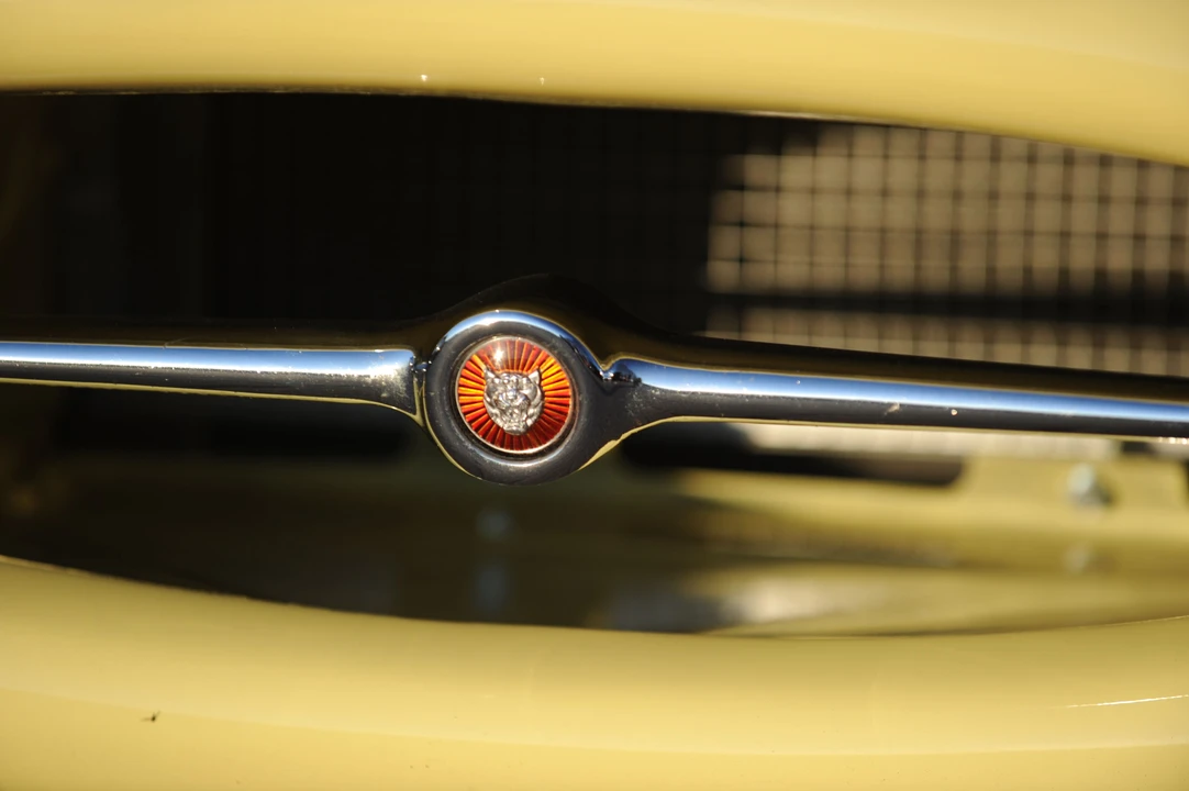 1966 Jaguar E-Type Series 1 - Image 4 of 25
