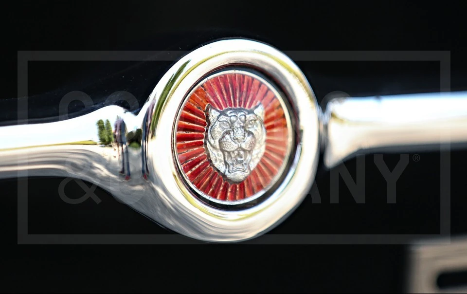1966 Jaguar E-Type Series 1 - Image 13 of 18