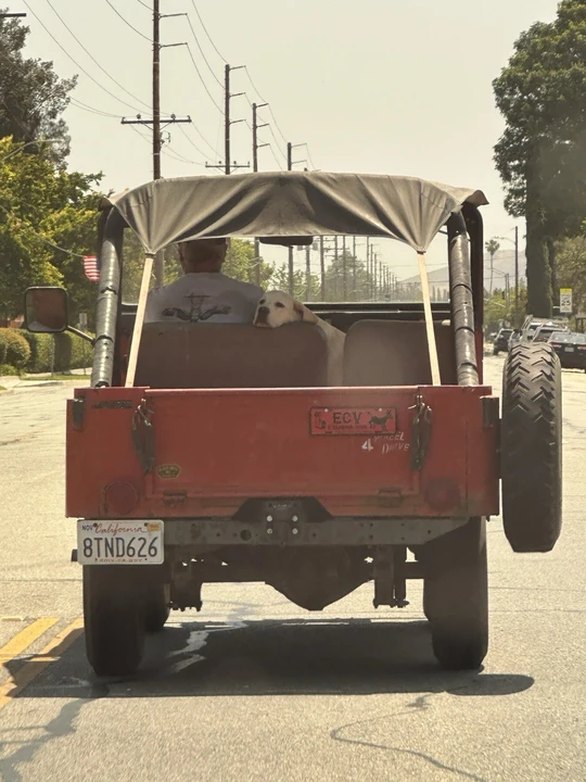 1966 Jeep CJ - Image 11 of 21