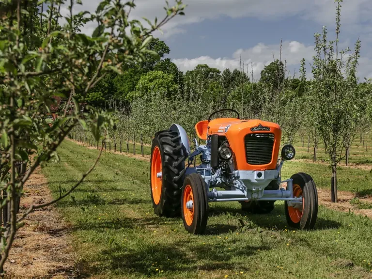 1966 Lamborghini Tractors - Image 22 of 27