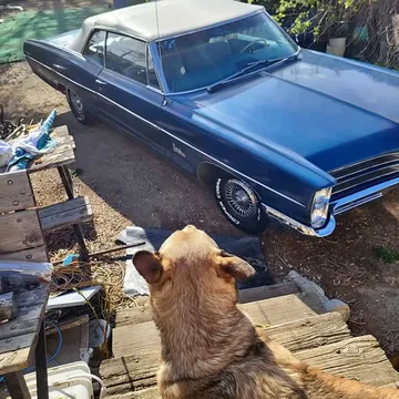 1966 Pontiac Catalina