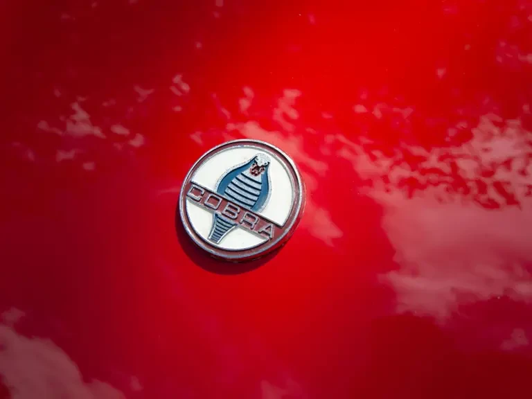 1966 Shelby Cobra Replica - Image 17 of 31