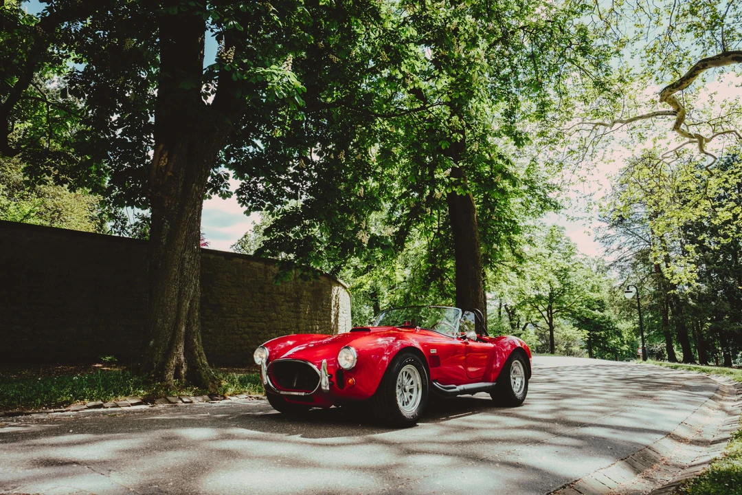 1966 Shelby Cobra 427 - Image 3 of 31
