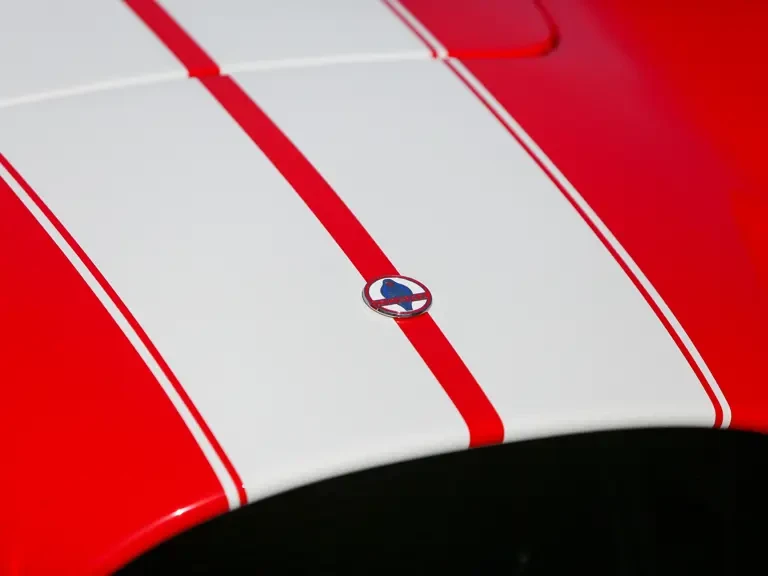 1966 Shelby Cobra Replica - Image 7 of 31