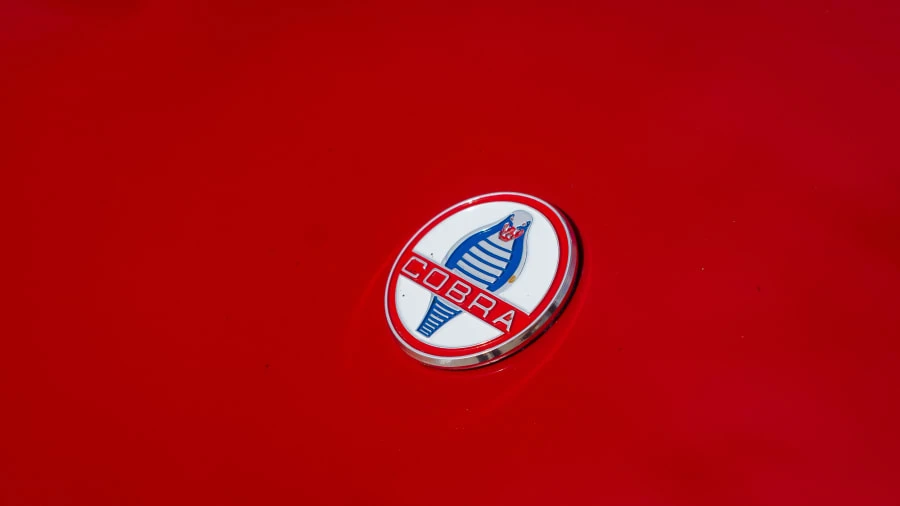 1966 Shelby Cobra Replica - Image 9 of 20