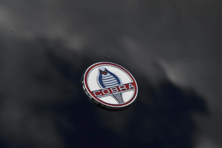 1966 Shelby Cobra Replica - Image 9 of 31