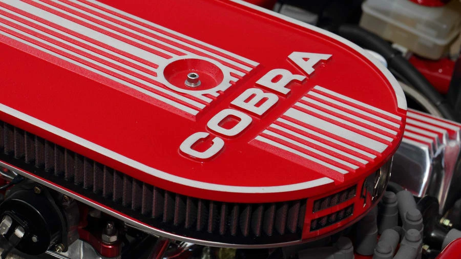1966 Shelby Cobra Replica - Image 11 of 31