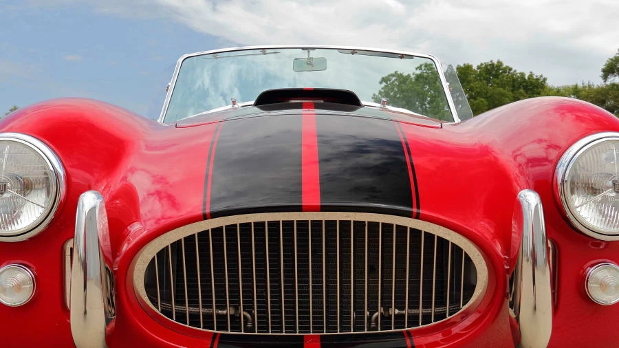 1966 Shelby Cobra Replica - Image 14 of 31