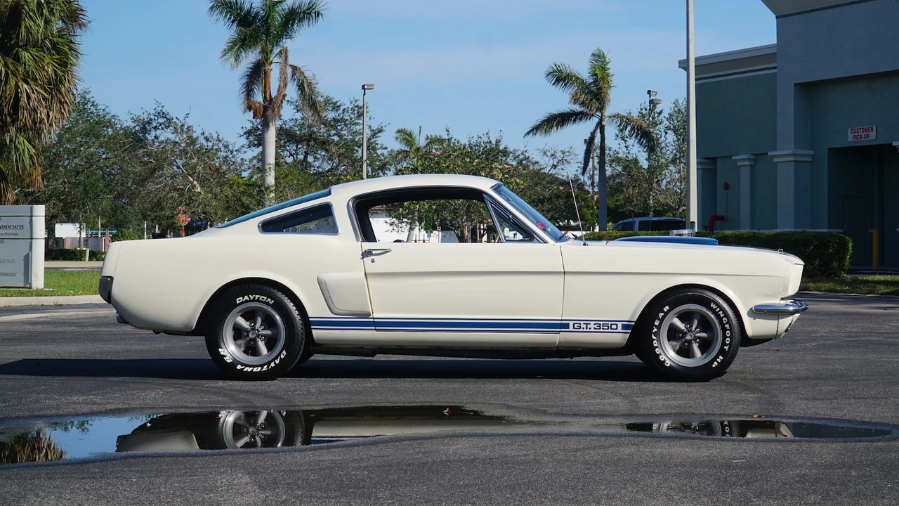 1966 Shelby GT350 - Image 16 of 17