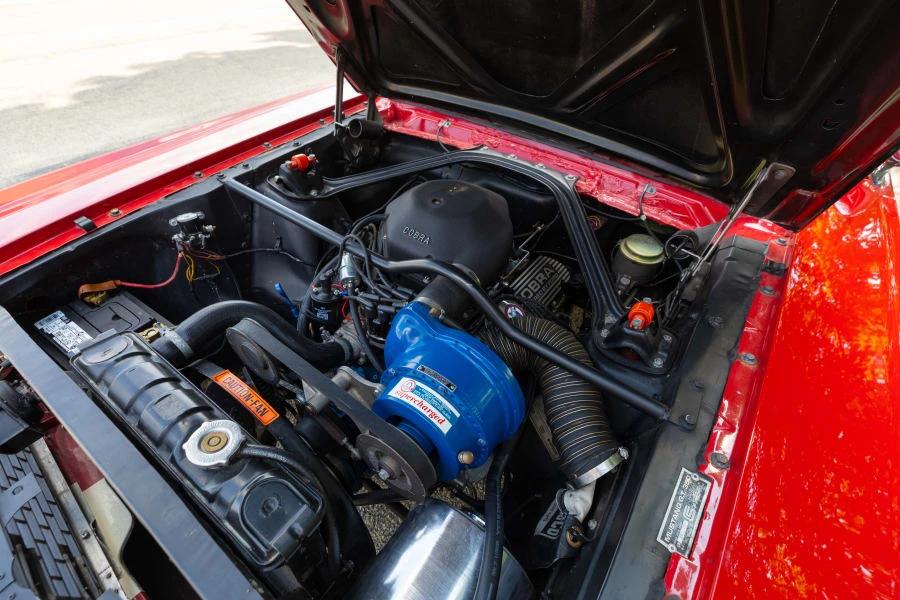 1966 Shelby GT350 - Image 22 of 23