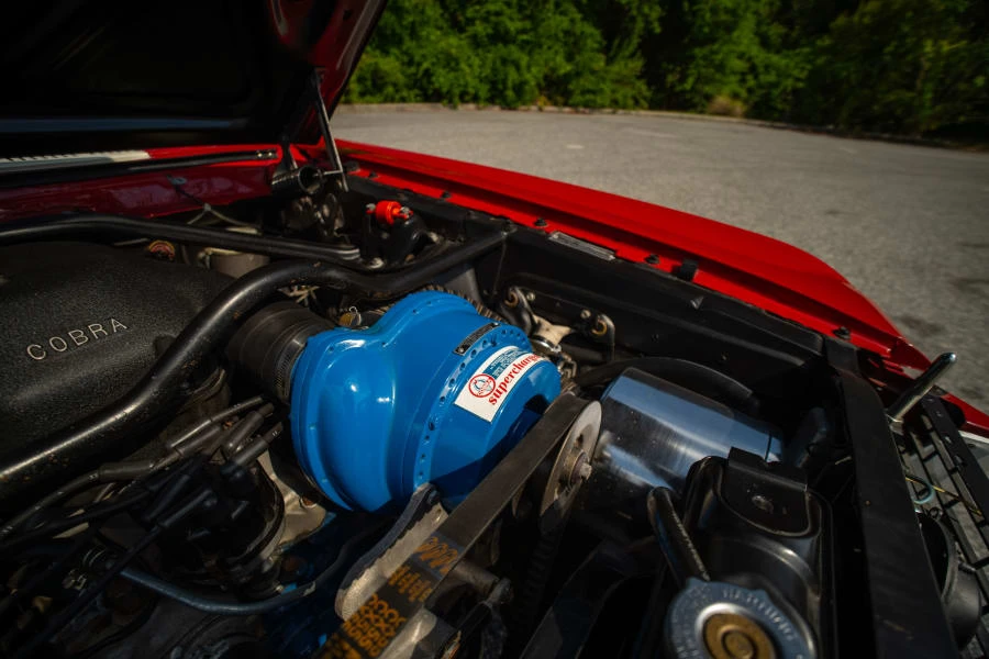 1966 Shelby GT350 - Image 29 of 30