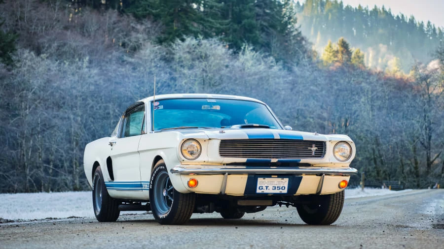 1966 Shelby GT350 - Image 12 of 31