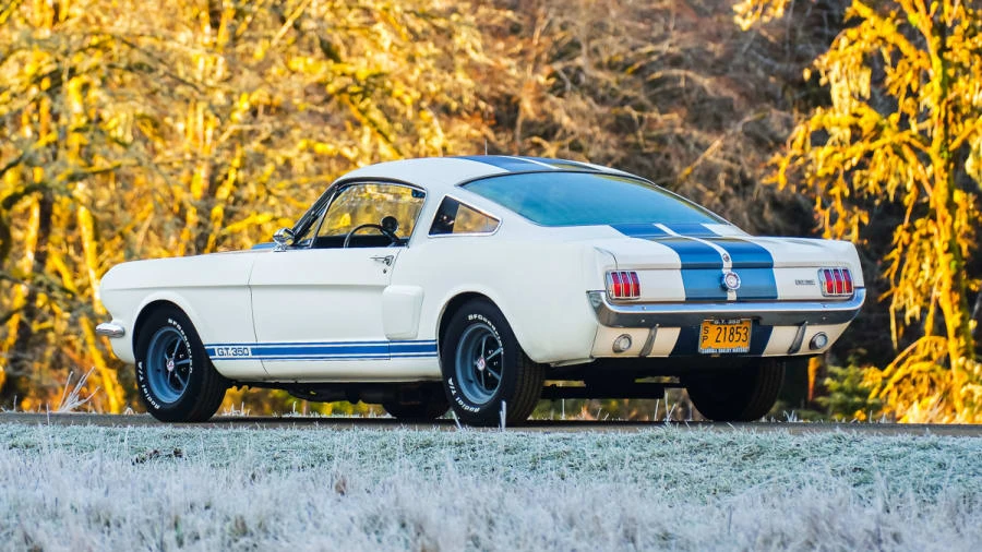 1966 Shelby GT350 - Image 17 of 31