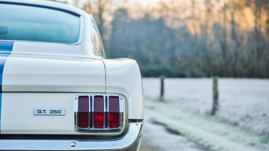 1966 Shelby GT350 - Image 20 of 31
