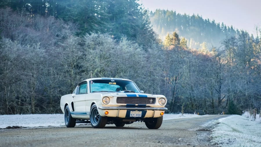 1966 Shelby GT350 - Image 29 of 31