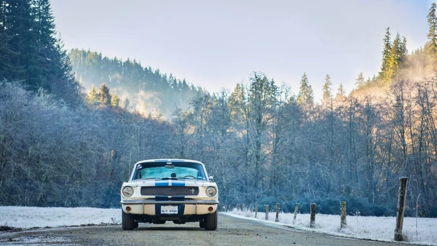 1966 Shelby GT350 - Image 31 of 31