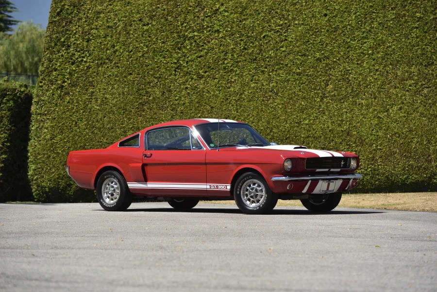 1966 Shelby GT350 - Image 16 of 31