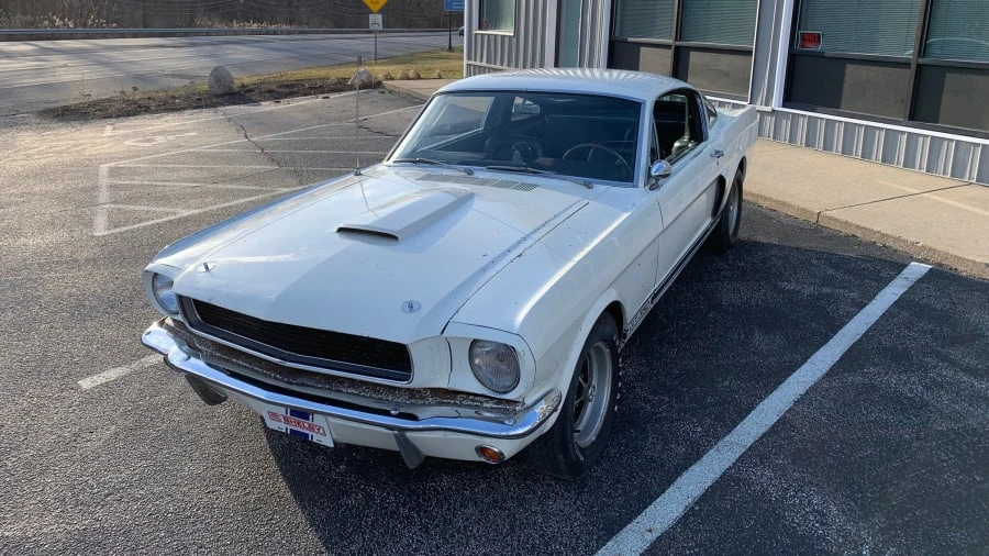 1966 Shelby GT350 - Image 3 of 31