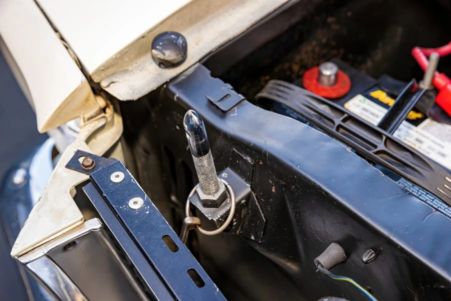 1966 Shelby GT350 - Image 30 of 31