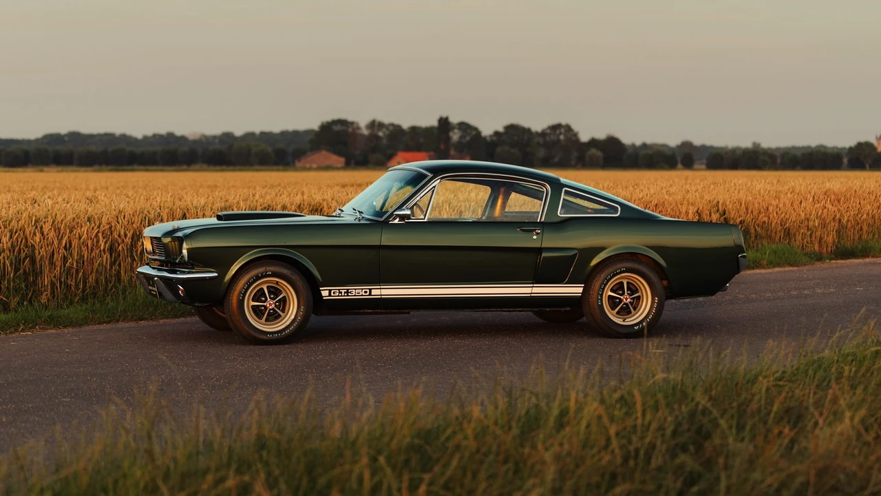 1966 Shelby GT350 - Image 13 of 31