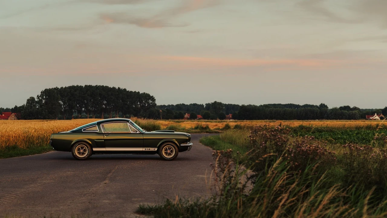 1966 Shelby GT350 - Image 30 of 31