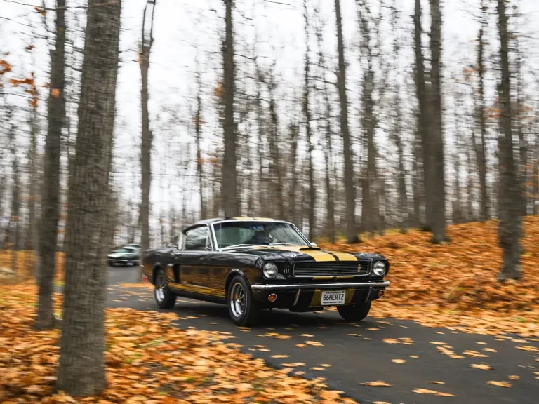 1966 Shelby GT350 - Image 10 of 31
