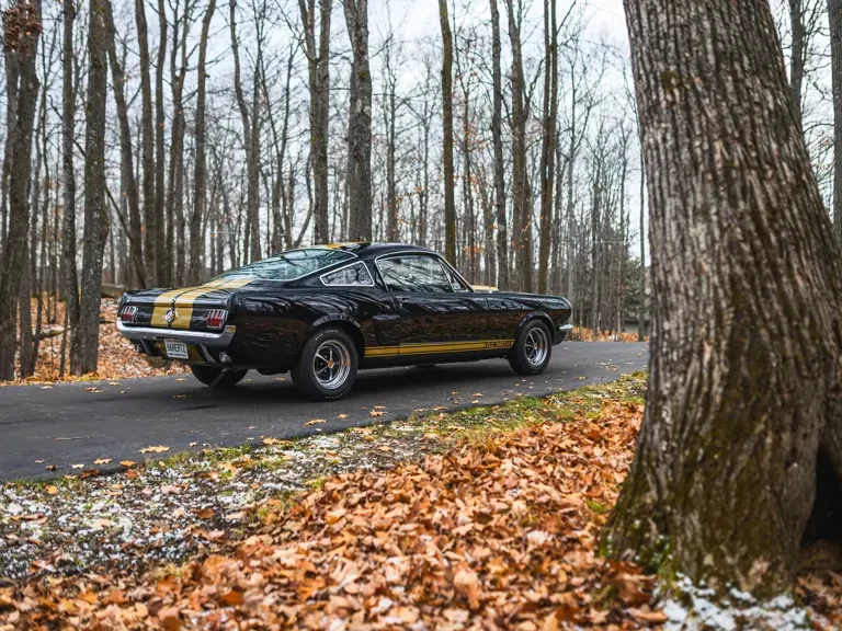 1966 Shelby GT350 - Image 3 of 31