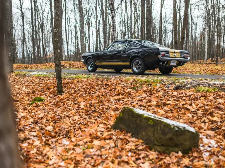 1966 Shelby GT350 - Image 11 of 31