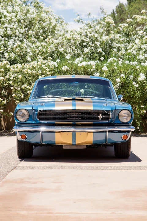 1966 Shelby GT350 - Image 11 of 31