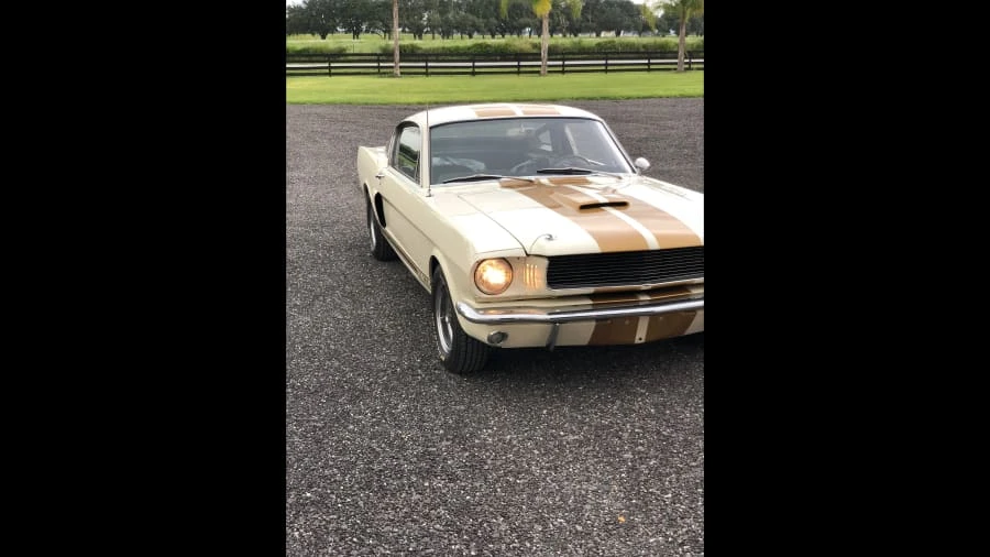 1966 Shelby GT350 - Image 3 of 4