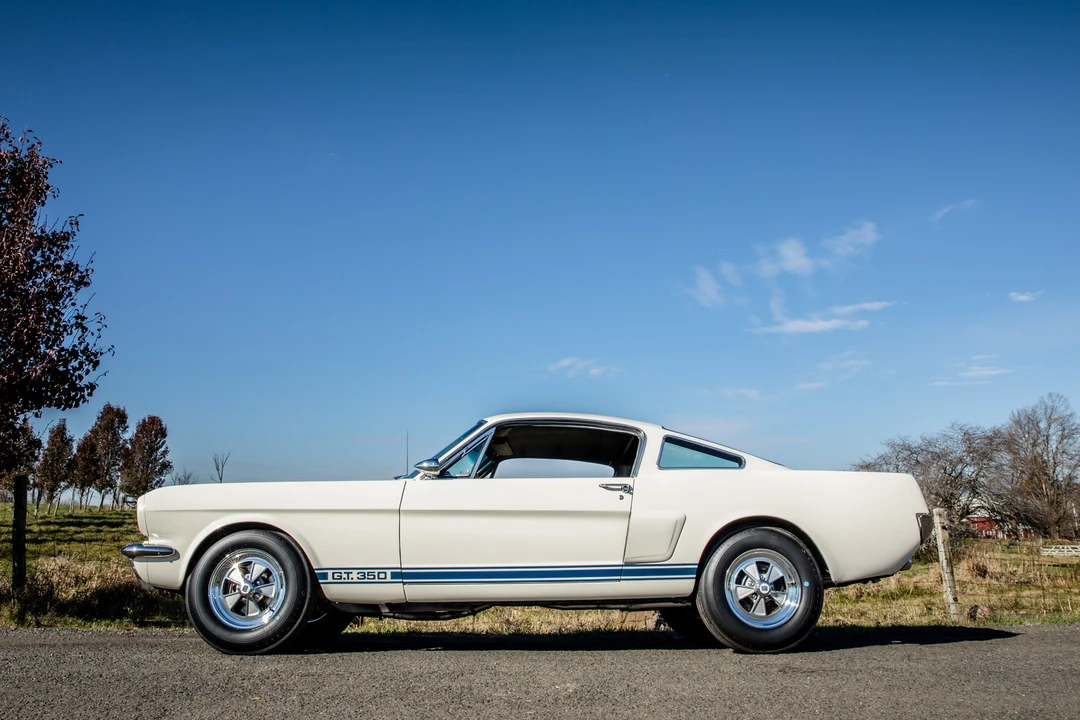 1966 Shelby GT350 - Image 8 of 31