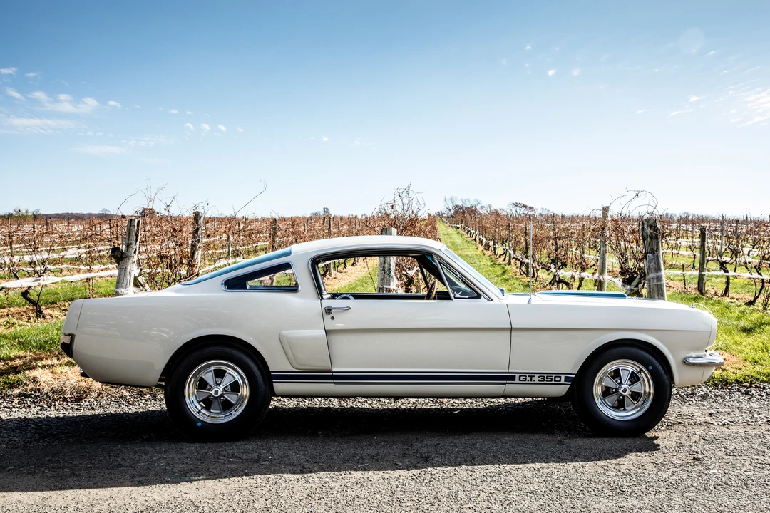 1966 Shelby GT350 - Image 14 of 31