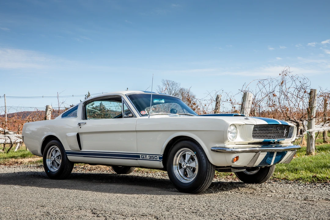 1966 Shelby GT350 - Image 15 of 31