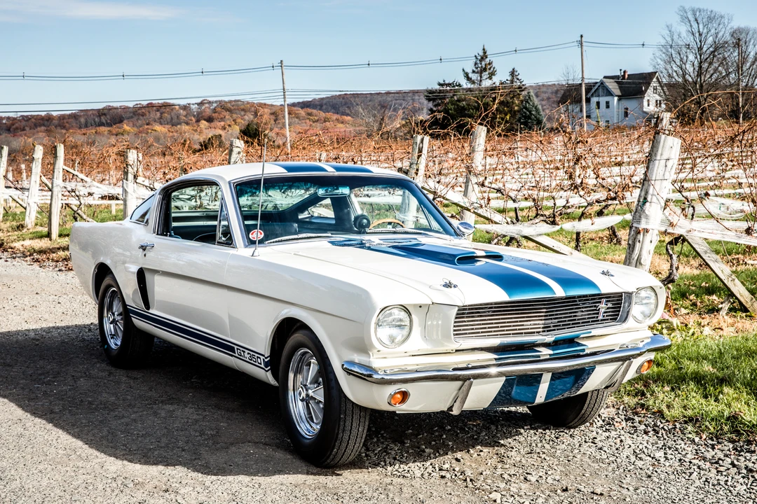 1966 Shelby GT350 - Image 16 of 31