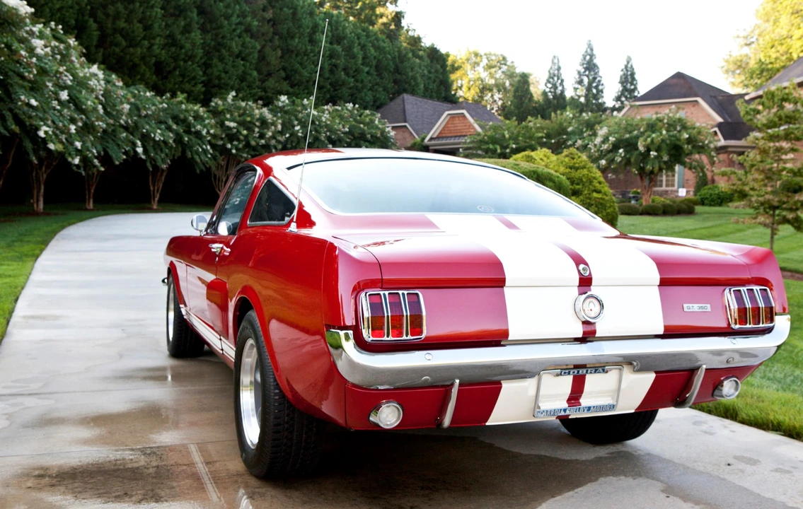1966 Shelby GT350 - Image 9 of 31
