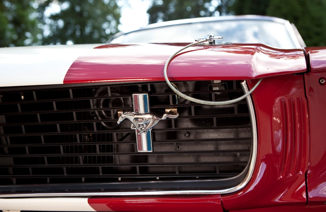 1966 Shelby GT350 - Image 22 of 31