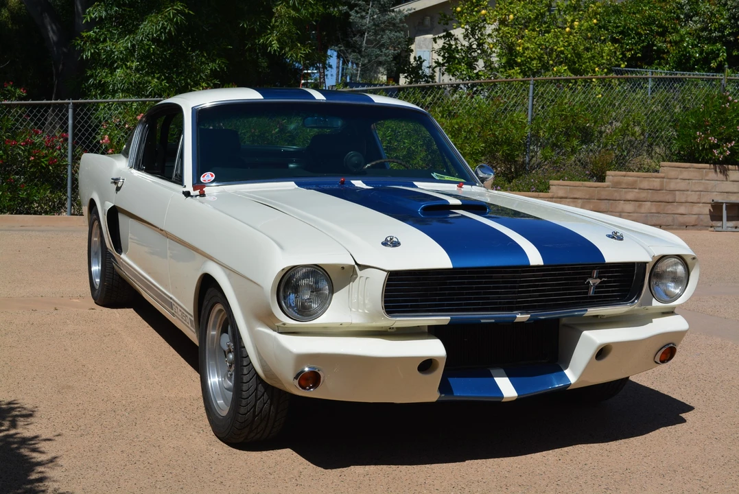 1966 Shelby GT350 - Image 2 of 31