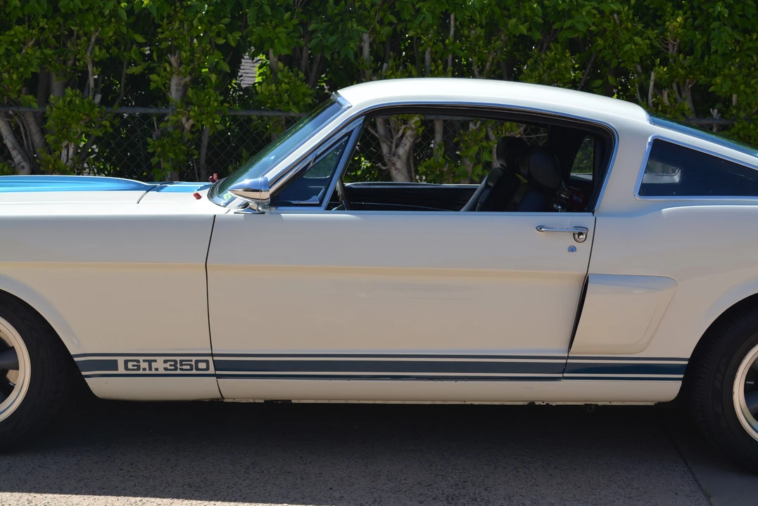 1966 Shelby GT350 - Image 14 of 31