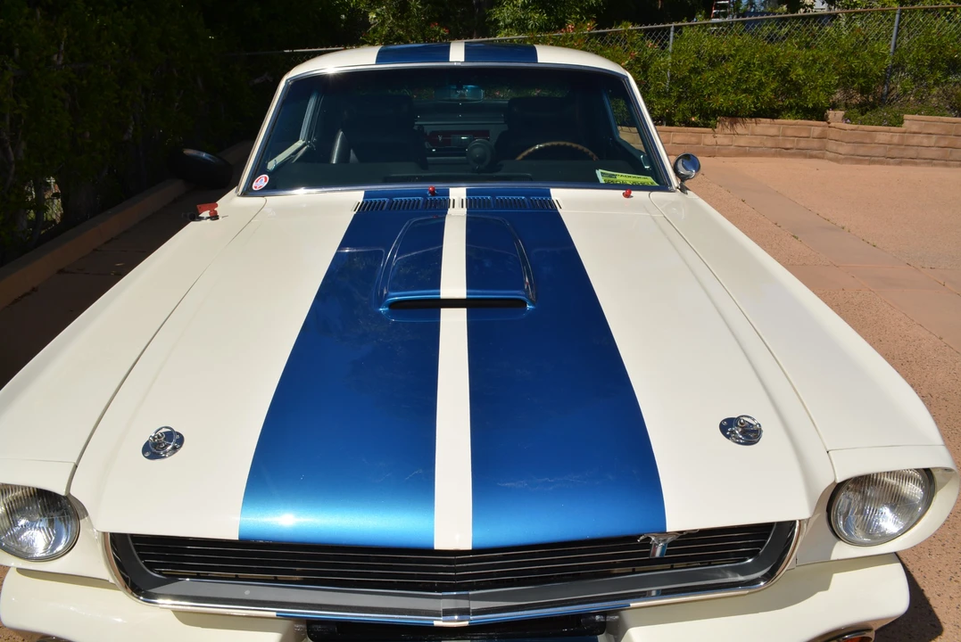 1966 Shelby GT350 - Image 19 of 31