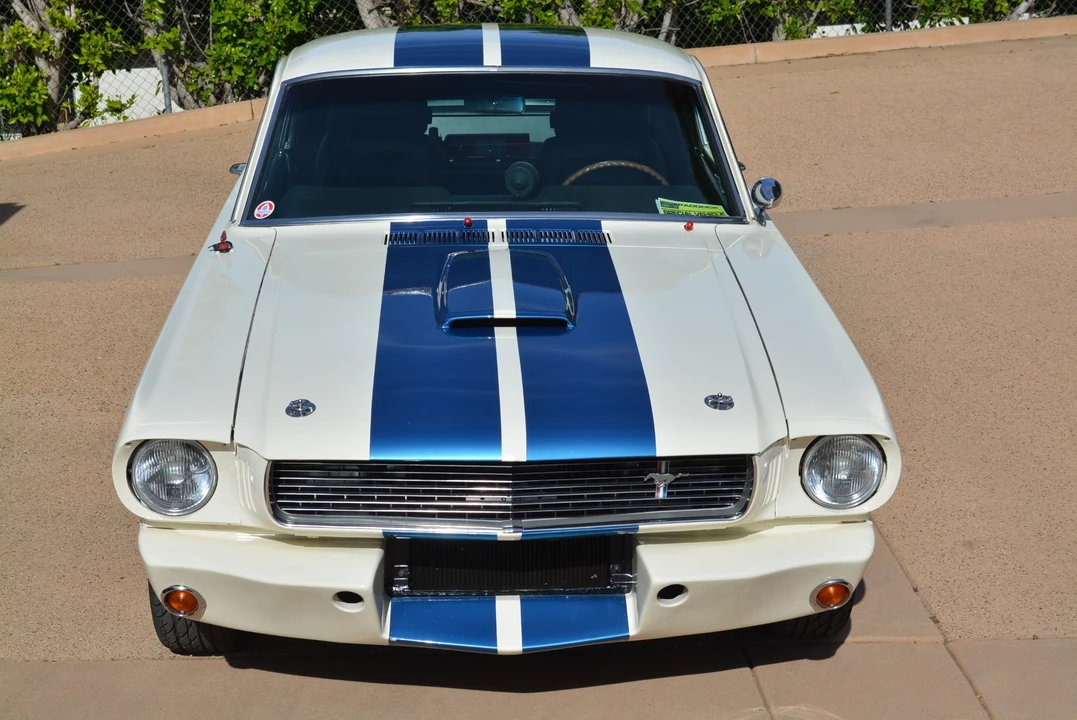 1966 Shelby GT350 - Image 8 of 31