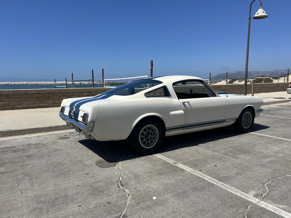 1966 Shelby GT350 - Image 23 of 31